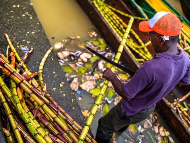 Pacífico Colombiano