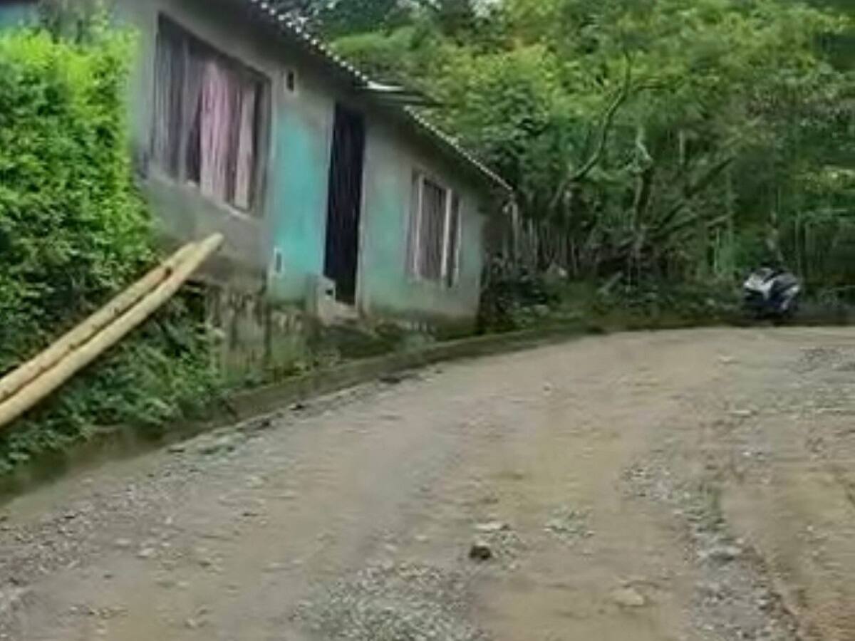 Denuncian que algunos niños deben caminar varios kilómetros para llegar al colegio