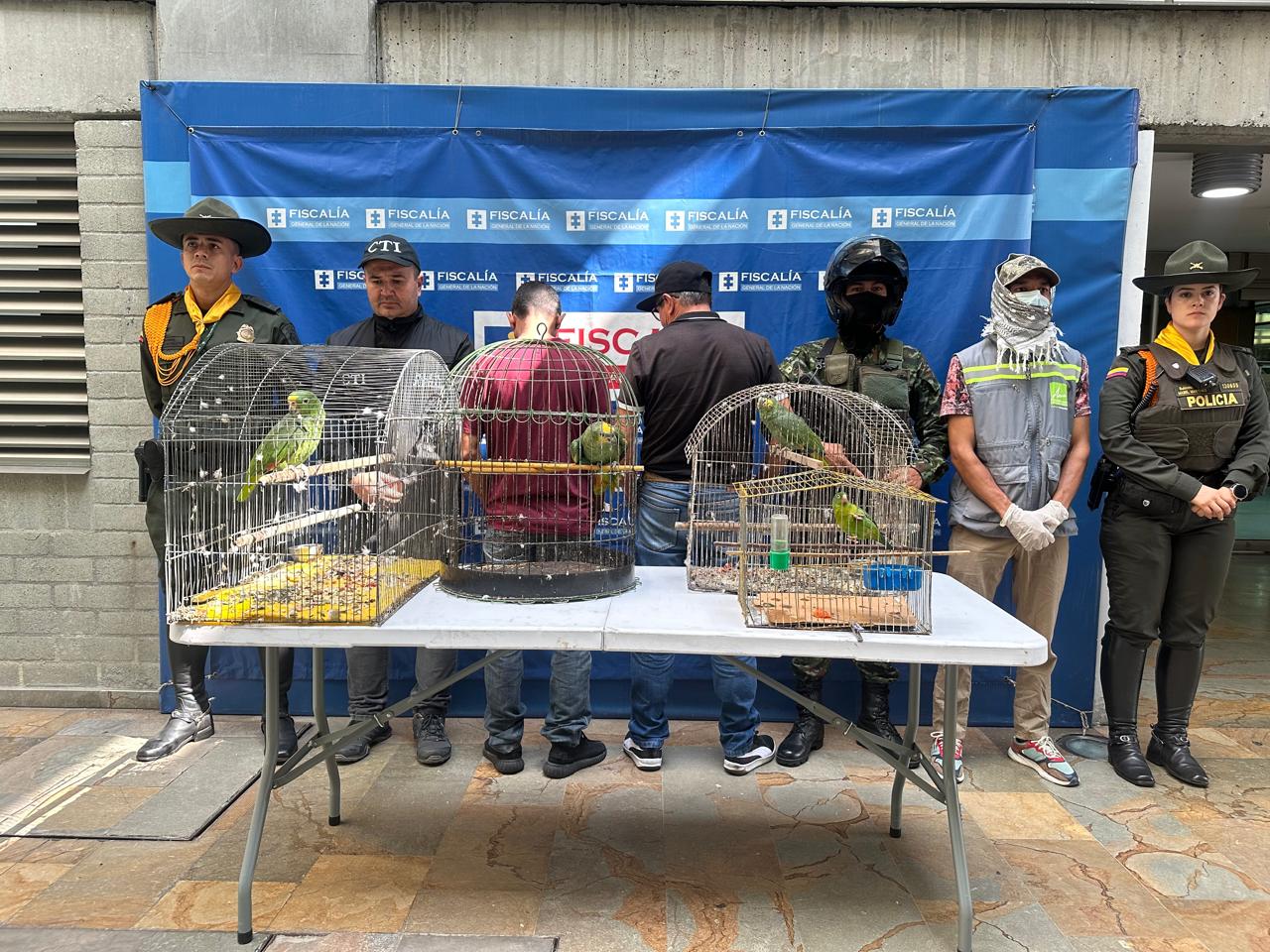 Más de 70 especies de fauna silvestre fueron rescatadas en el Valle de Aburrá. Hay dos capturados por el hecho. Foto: Policía Meval.