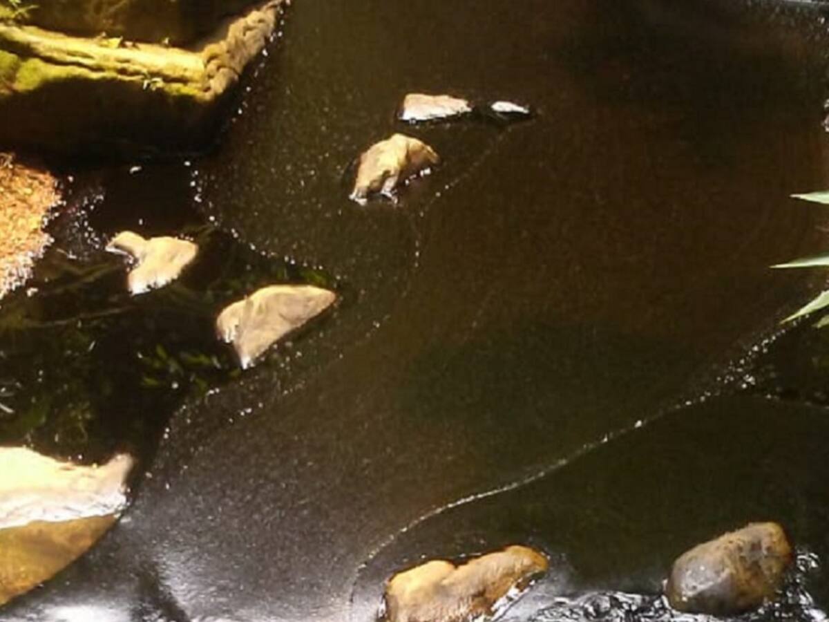 Emergencia en la zona del Catatumbo por nuevo derrame de petróleo