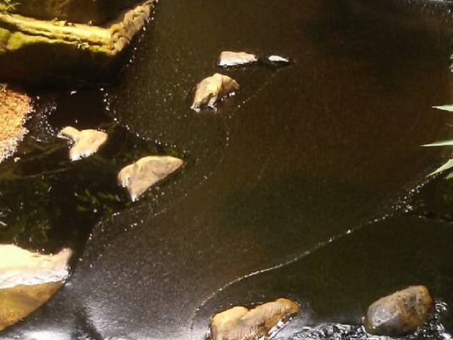 Emergencia en la zona del Catatumbo por nuevo derrame de petróleo