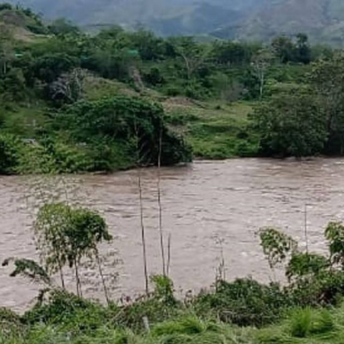 Adulto mayor desaparece en Neira a orillas del Cauca
