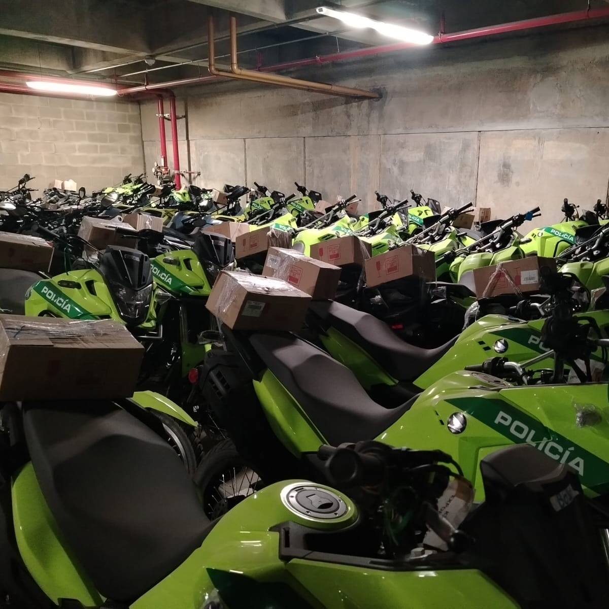 300 motocicletas de la Policía están parqueadas por trámites de matrícula: denuncia concejal