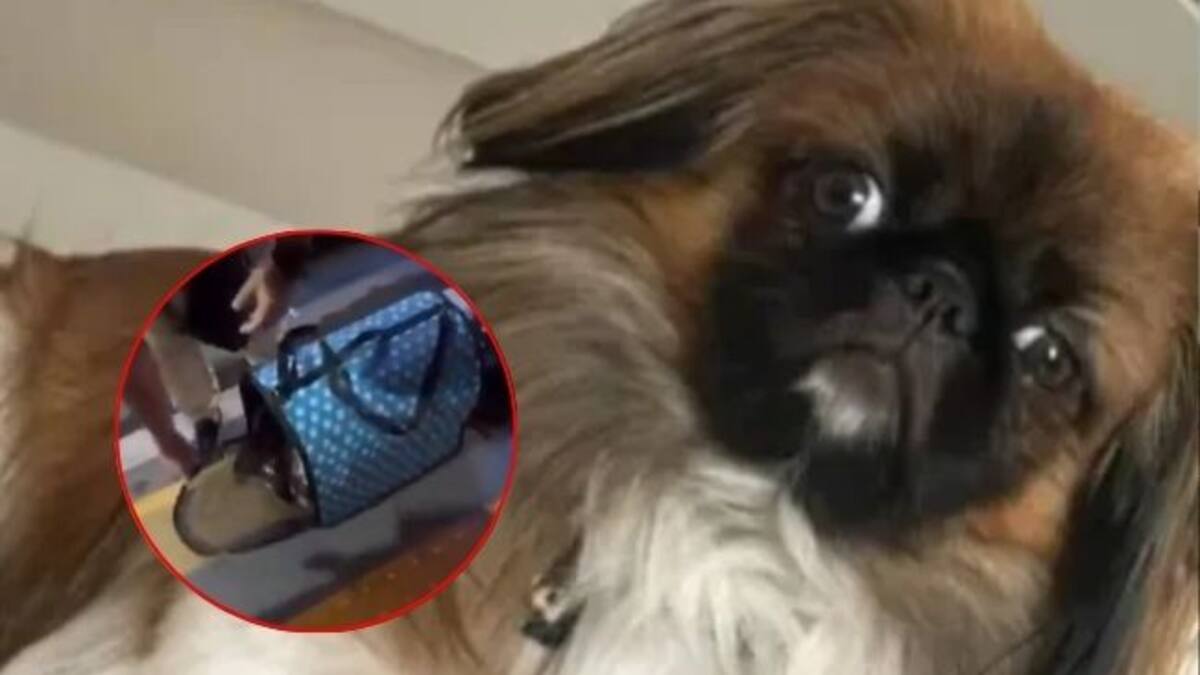 Erika Atuesta, gerente de mercadeo Copetran