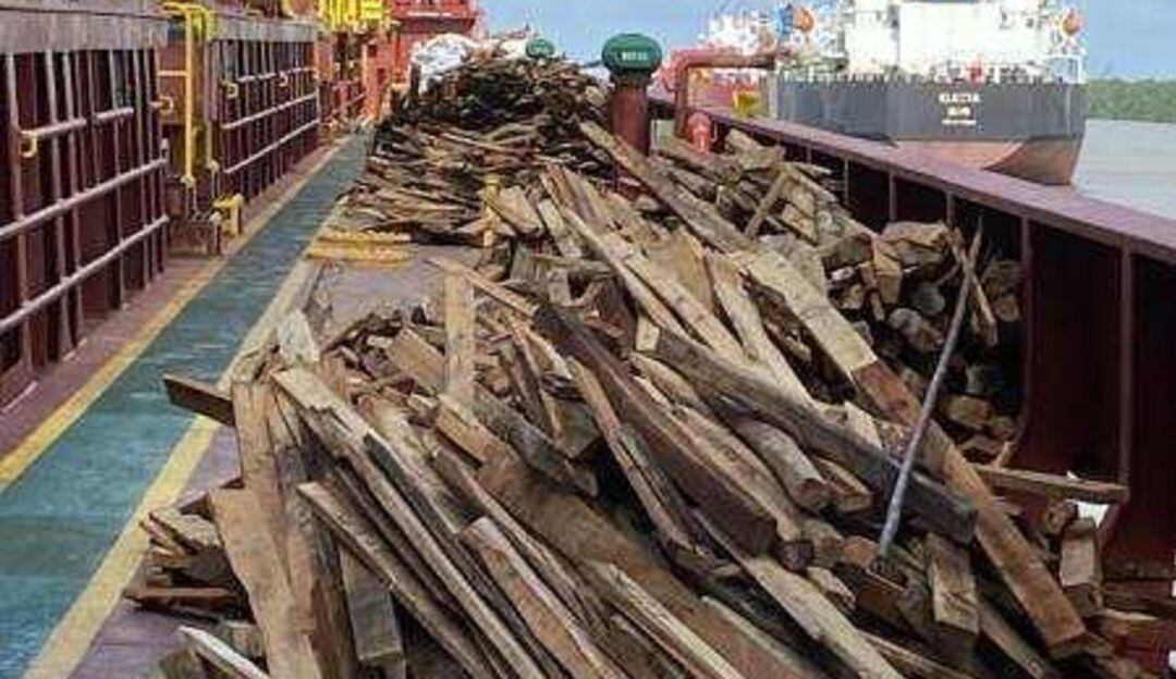 Parte del cargamento de madera con plagas.