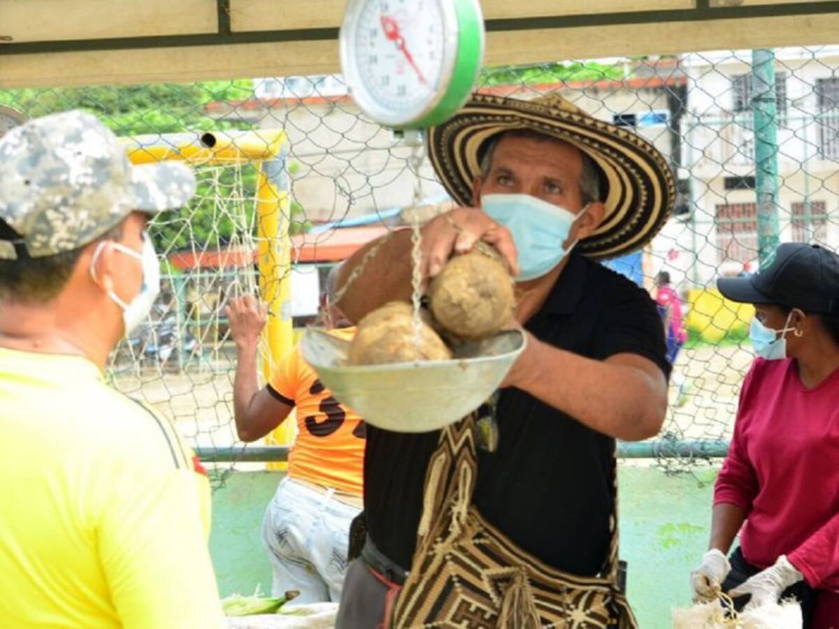 Nueve toneladas de alimentos vendidas en mercado Campesino del 20 de julio