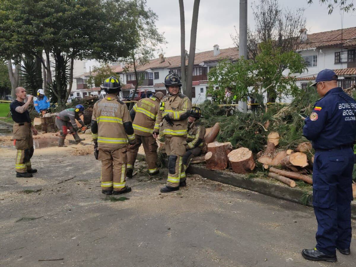 Gigantesco árbol cae en el barrio Julio Flores de Bogotá: casas afectadas y vía bloqueada