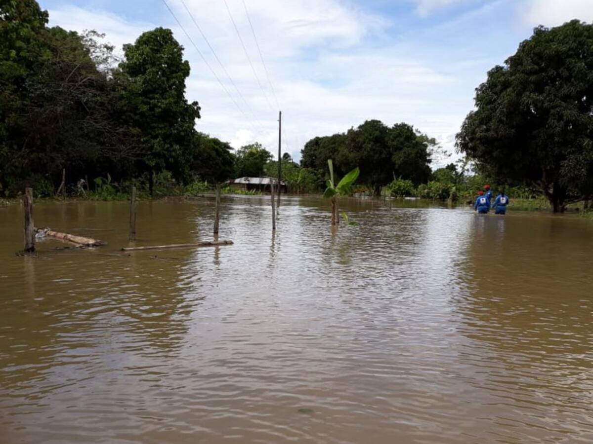 El Dapard atiende 14 municipios afectados por el invierno