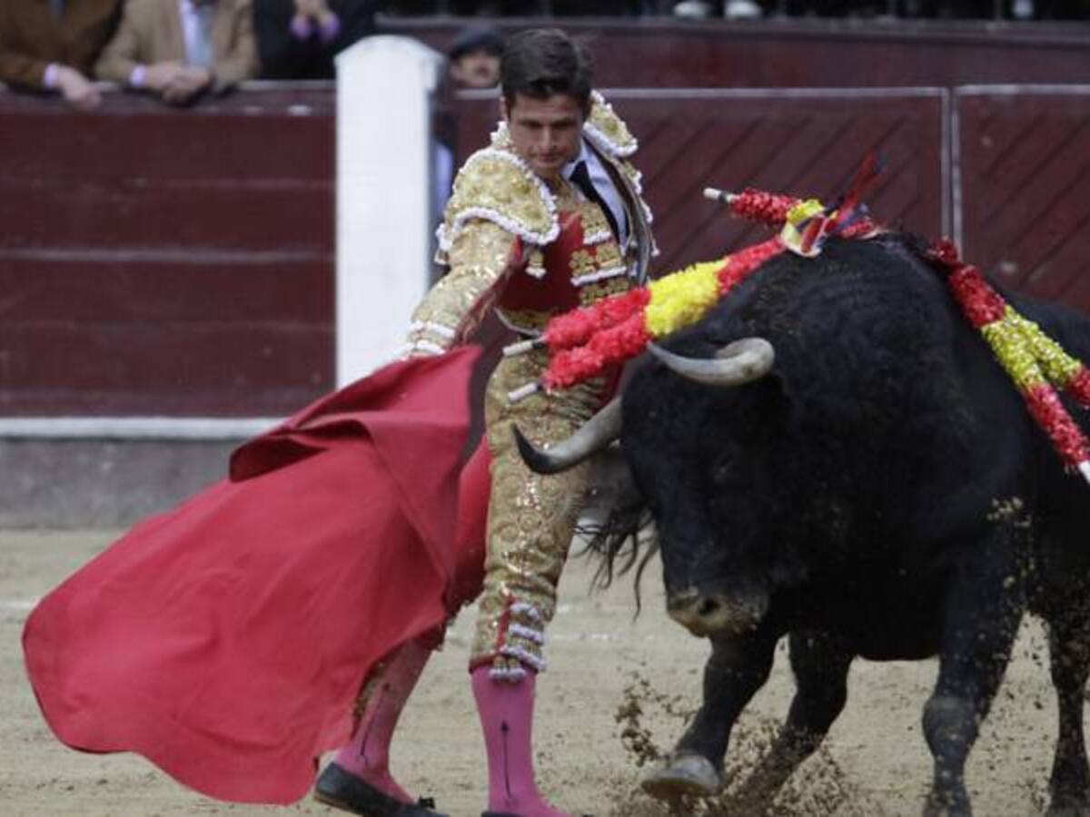 Radican proyecto de ley que prohibiría maltrato y sacrificio de los toros en corridas