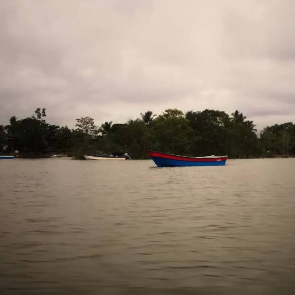 Alerta en Bahía Solano y Nuquí por accionar del ELN y el Clan del Golfo