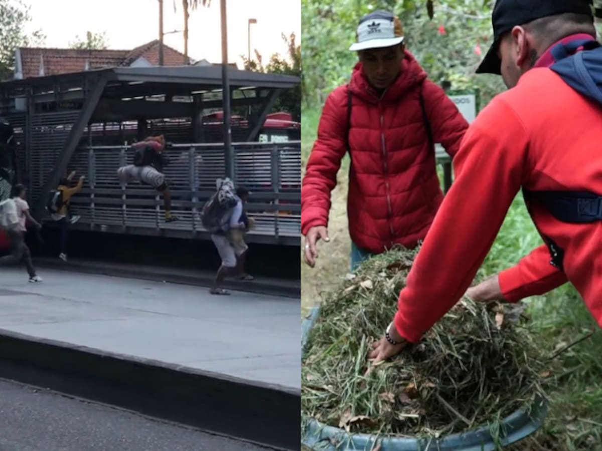 Así están pagando multas los colados en Transmilenio ¿Qué opciones da Secretaría de Seguridad?