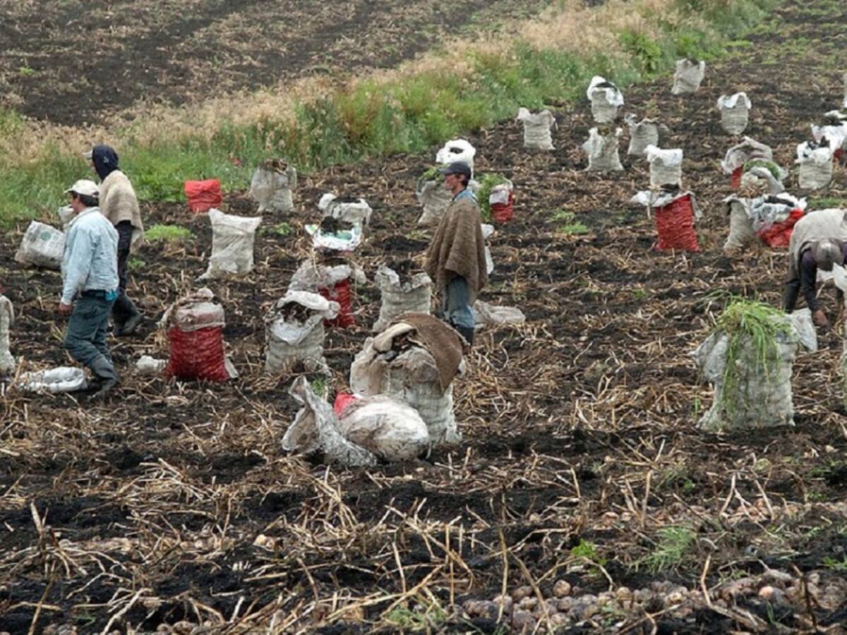 Paperos de Norte de Santander reciben “salvavidas”