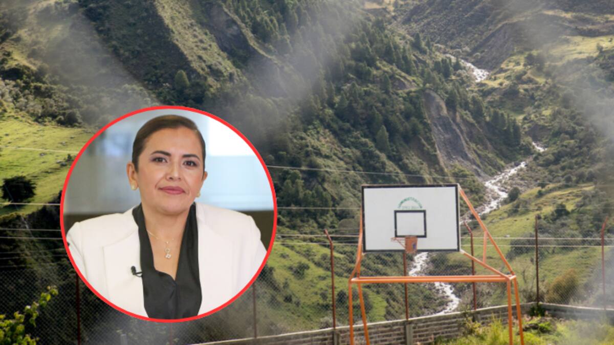 Gobernadora del Meta sobre colegio construido por disidencias: Es una apología al delito