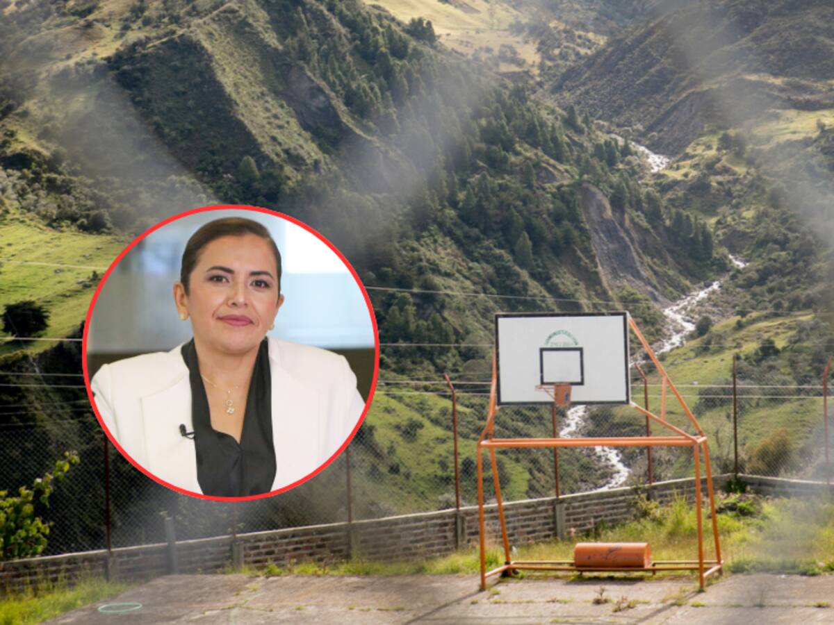 Gobernadora del Meta sobre colegio construido por disidencias: “Es una apología al delito”