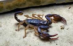 Mujeres las mayores  afectadas.. Foto Relacionada.