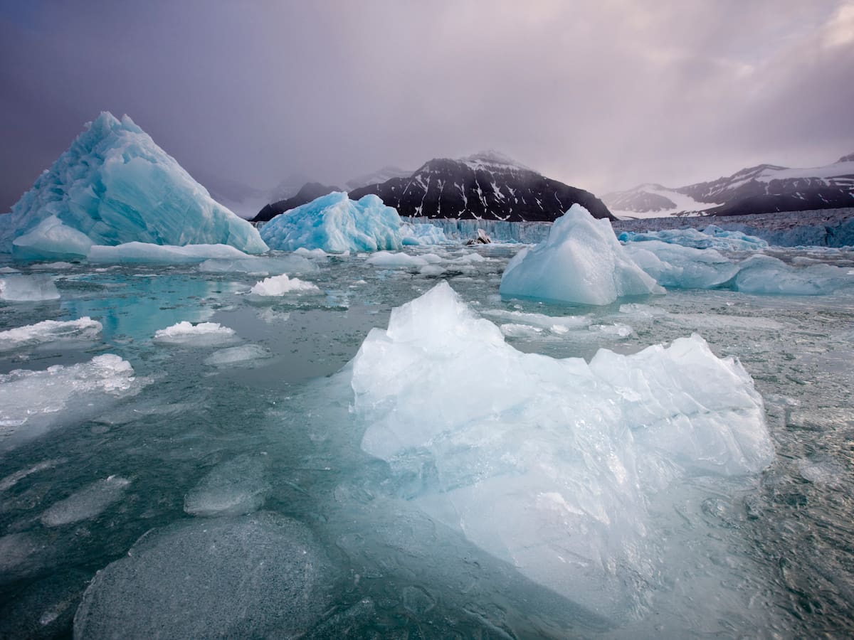 El Ártico podría enfrentar primer verano sin hielo marino en 2027, según científicos