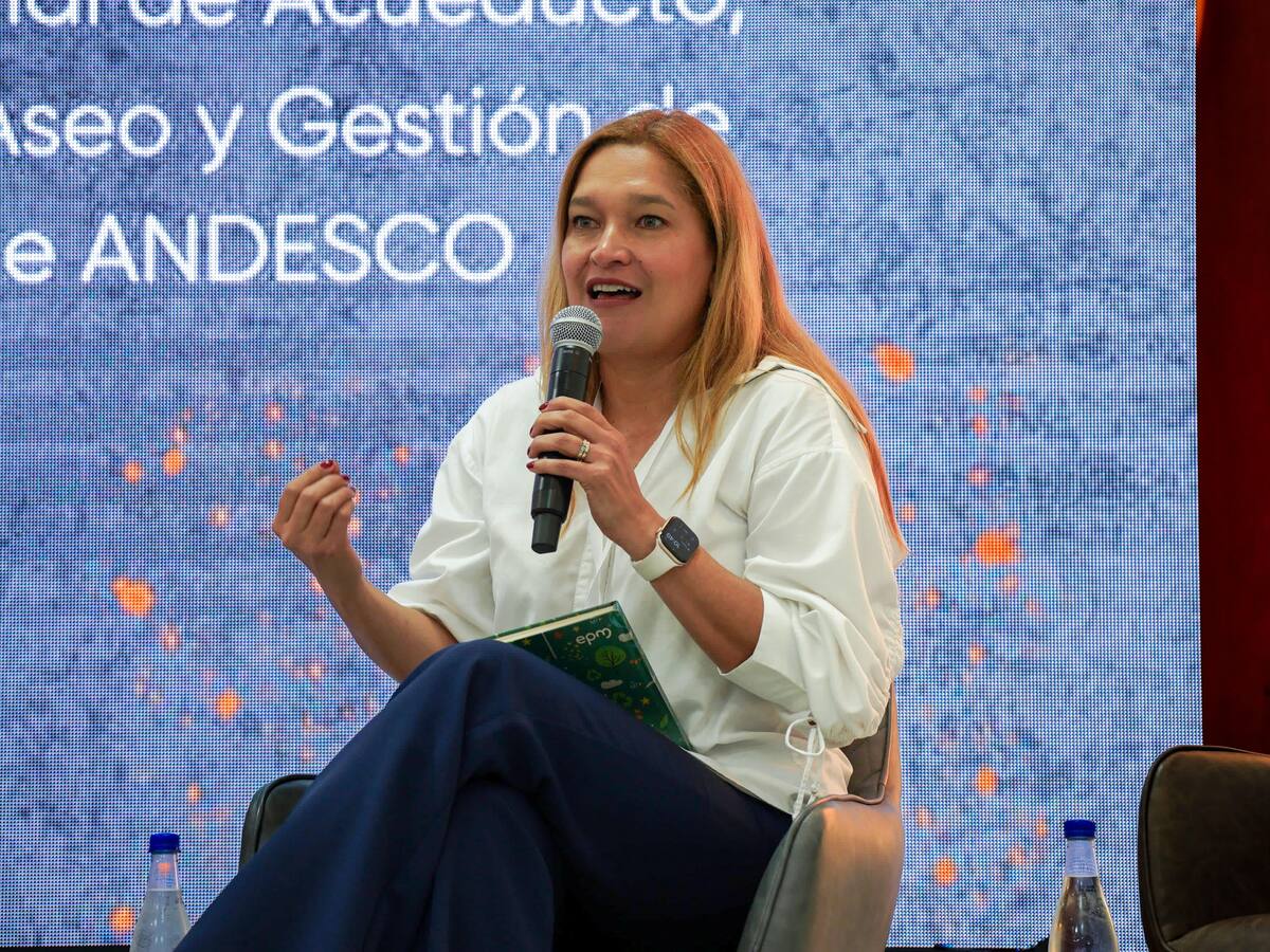 “Menos del 6% de los recursos están destinados al agua”: ANDESCO