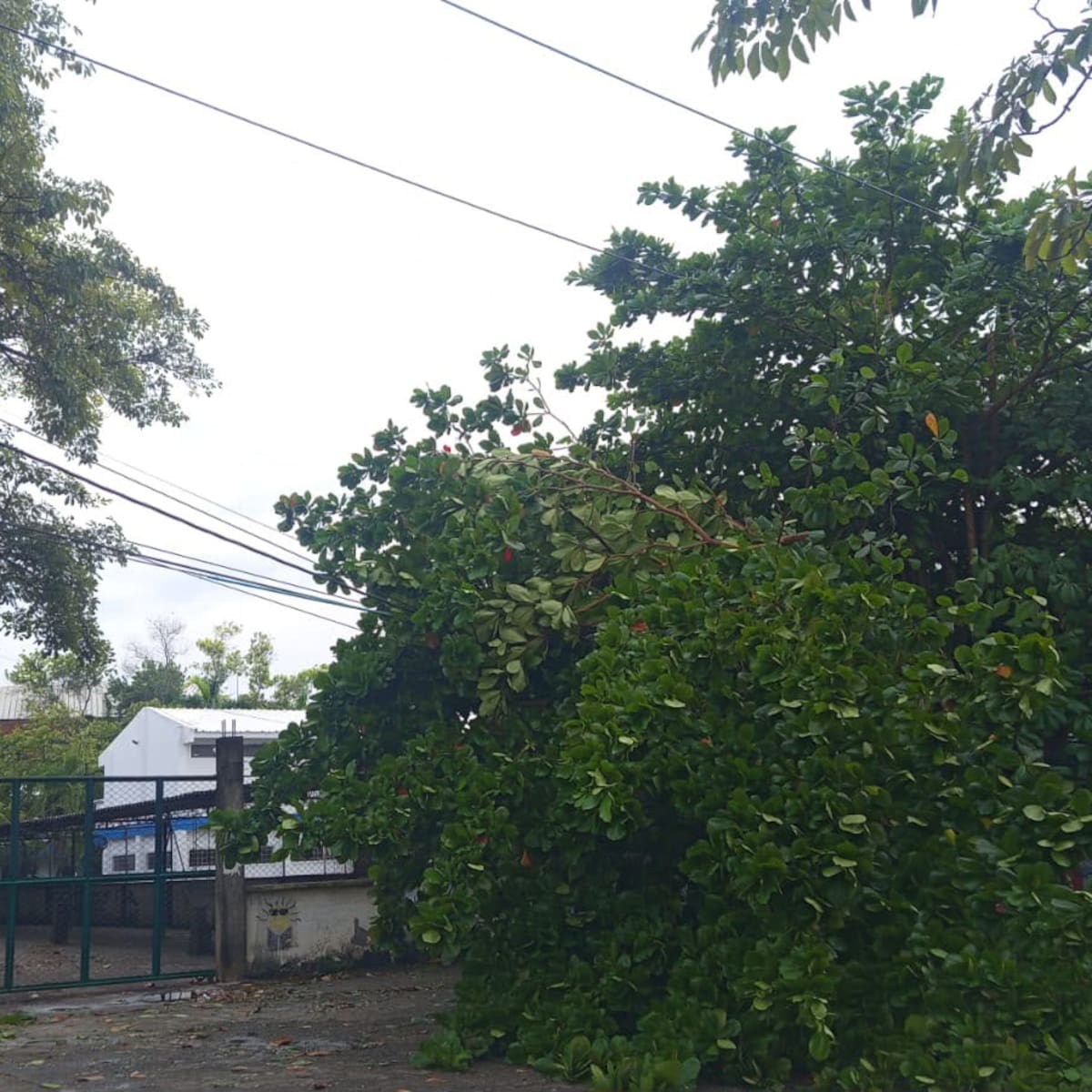 Emergencia por lluvias y vientos huracanados en Córdoba y Sucre: varios municipios están sin energía