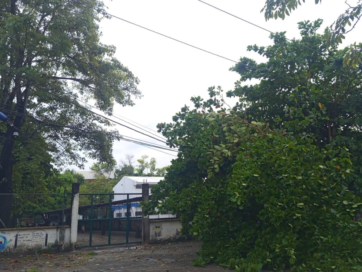 Emergencia por lluvias y vientos huracanados en Córdoba y Sucre: varios municipios están sin energía