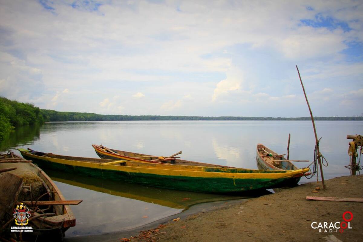 El parque cuenta con 56.200 hectáreas