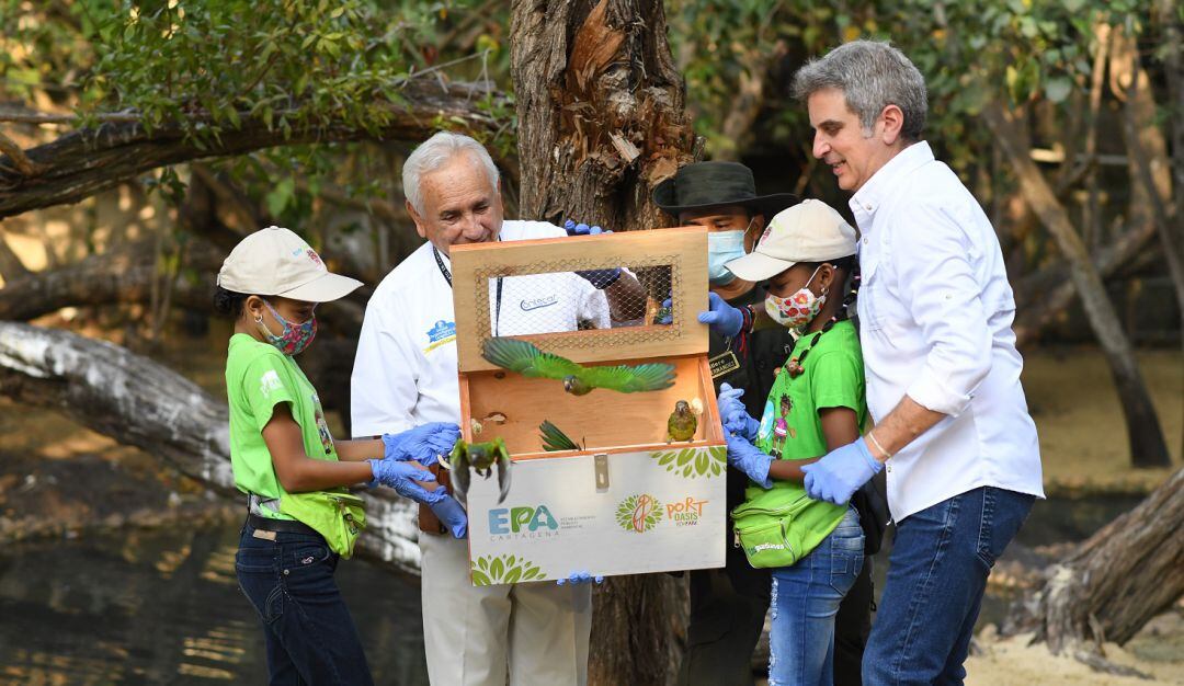 Entre las especies liberadas están canarios costeños, pirras, rositas, cotorras carisucias y pericos alibronceados.
