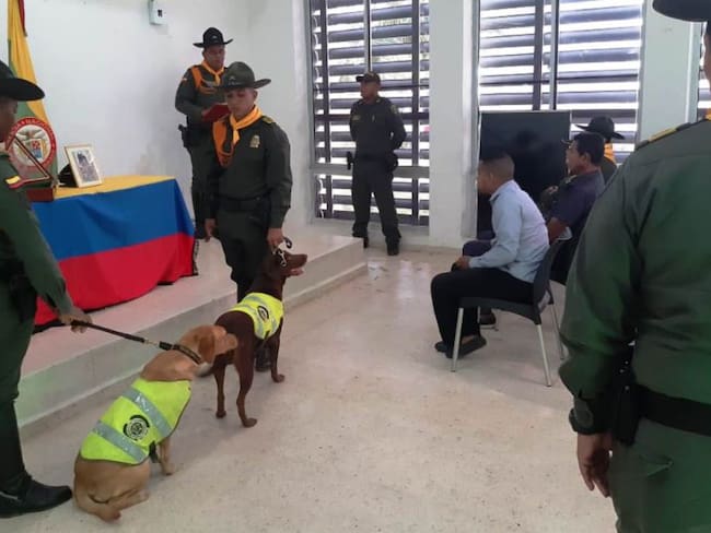 Adiós a Stuart, el perro antiexplosivo de la Policía de Bolívar