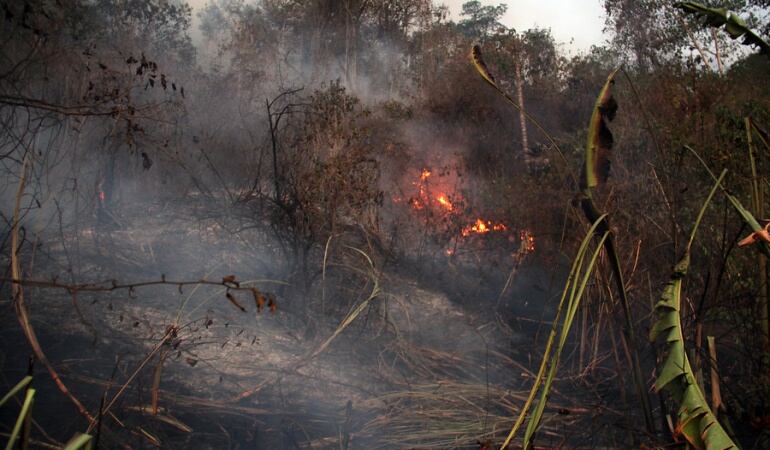 Incendios Forestales