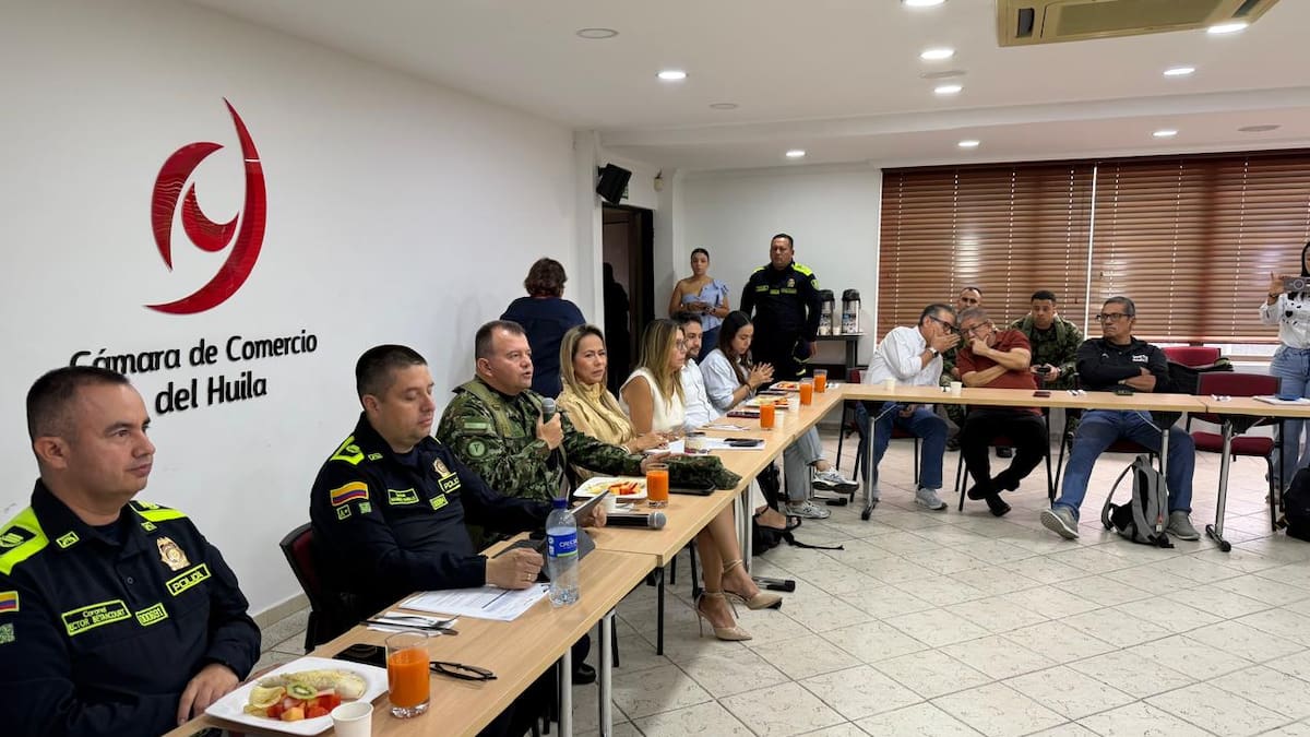 Ruta 45 cerraría 2026 con la cifra más baja de delitos en los últimos tres años en el Huila