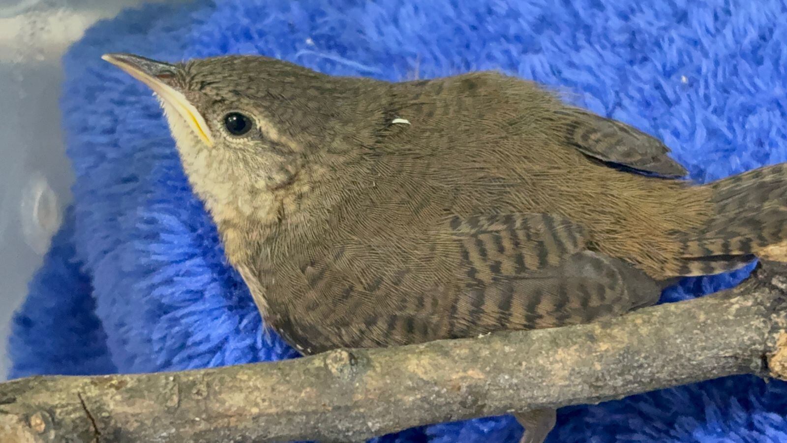 Foto: Área metropolitana del Valle de Aburrá.