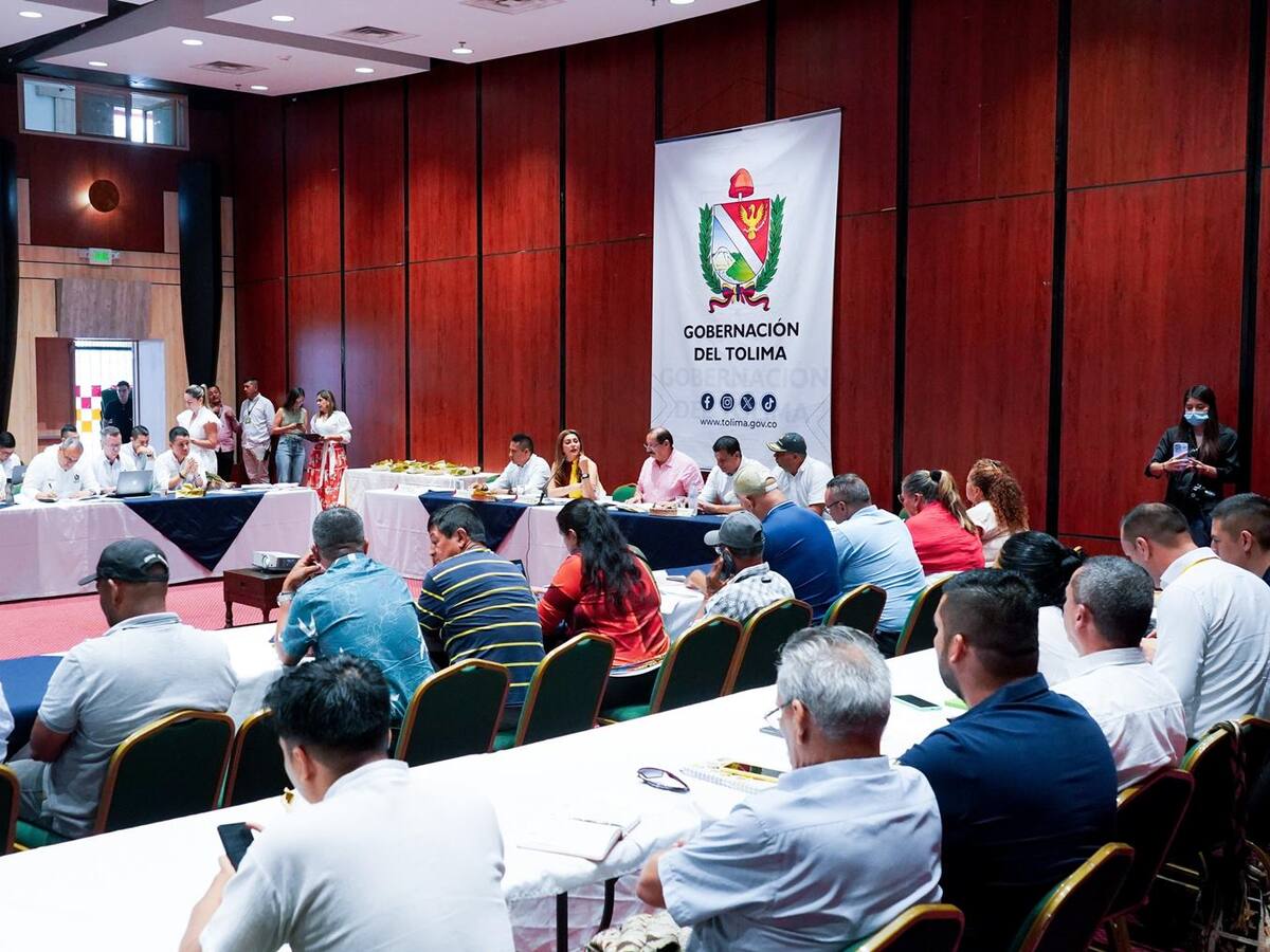 Así será la inversión en los municipios PDET del departamento del Tolima