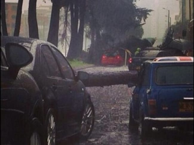 Esta semana se han caído seis árboles en Bogotá por lluvias