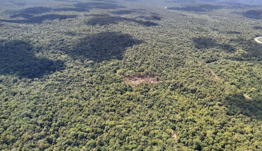 Así quedó el campamento de alias 'Fabián' tras bombardeo en Chocó