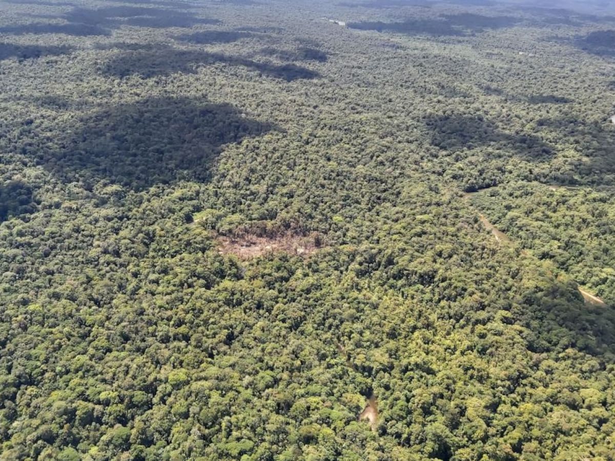 "Fabián y Carlitos del ELN sí estaban en bombardeo en Chocó": Gobierno
