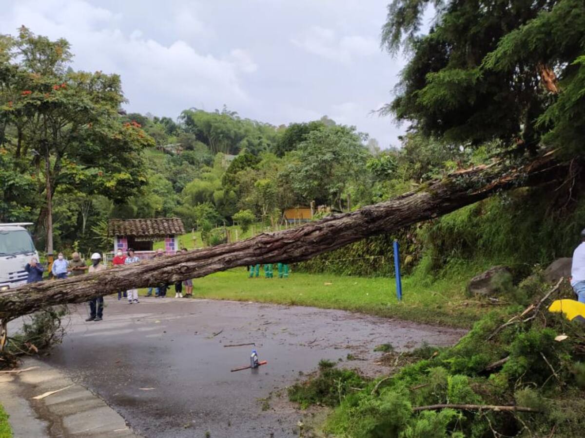 Salento, el municipio más afectado por vendaval en el Quindío
