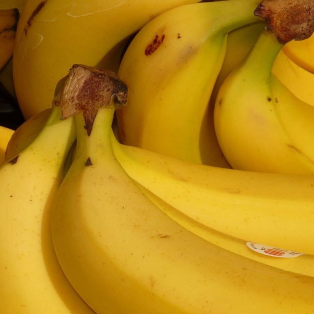 En 2025 se rompió el récord de exportaciones de banano, según Augura