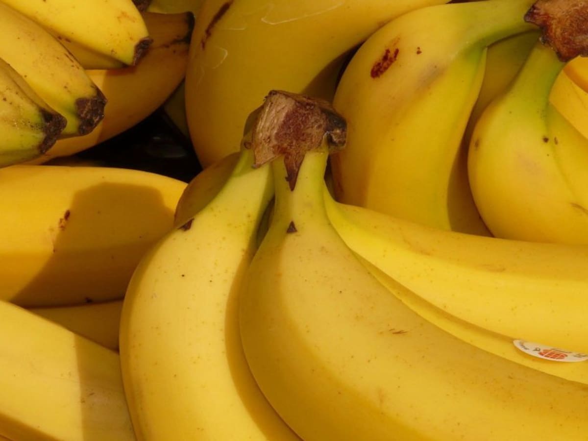 Conozca las ventajas y desventajas de comer bananas todos los días