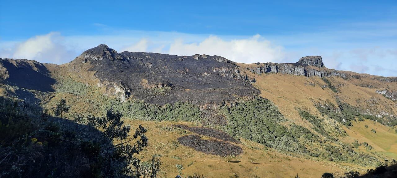 Foto: Secretaría de Medio Ambiente de Caldas.