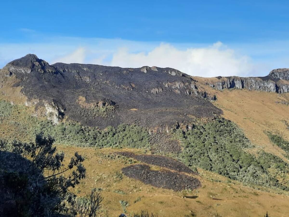 El incendio forestal en el Parque Nacional Natural Los Nevados quemó cerca de 40 hectáreas