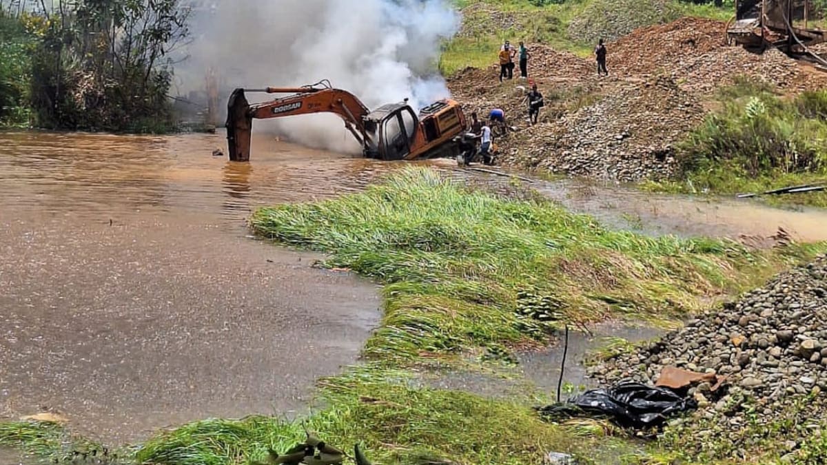 Disidencias FARC talaron 68 mil árboles para montar una mina de oro en Nariño
