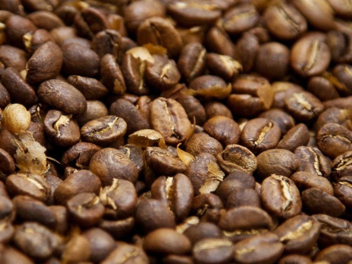 Cafeteros en máxima alerta por el Fenómeno de El Niño en zonas de producción