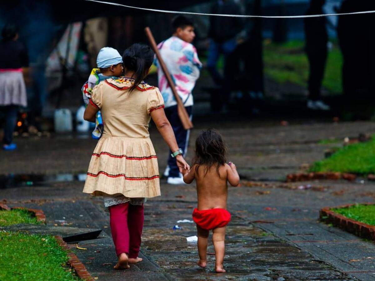 Naciones Unidas reporta crisis humanitaria en El Charco, Nariño