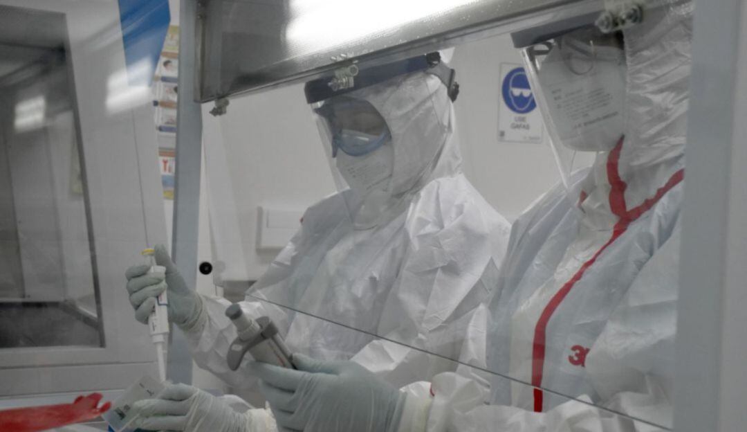 Procesamiento de muestras.