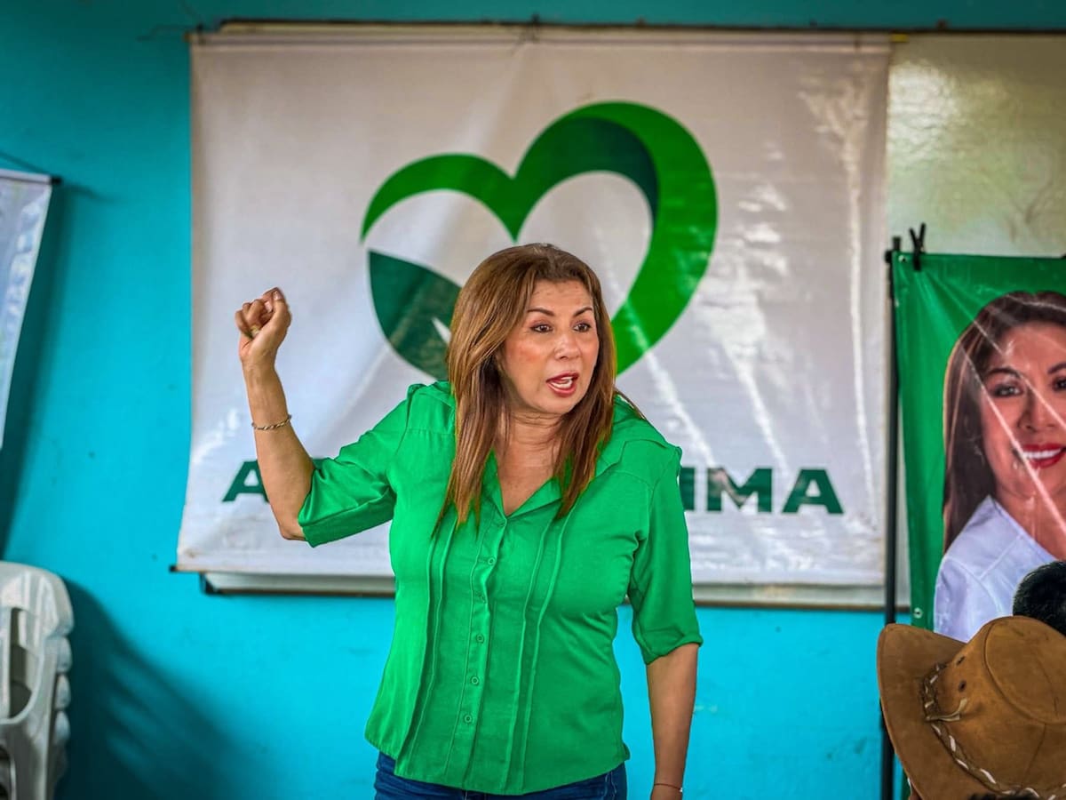CNE declara como ganadora a María Yaneth Sabogal de la curul de paz en el Tolima
