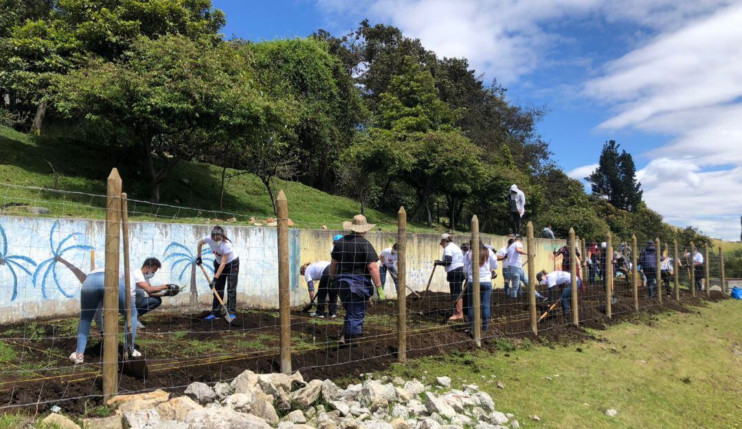 Huerta escolar en El Mochuelo, Ciudad Bolívar
