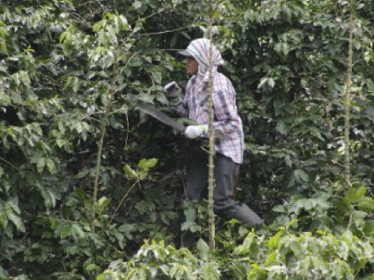 Una mujer herida tras ataque con explosivos en Santander de Quilichao, Cauca