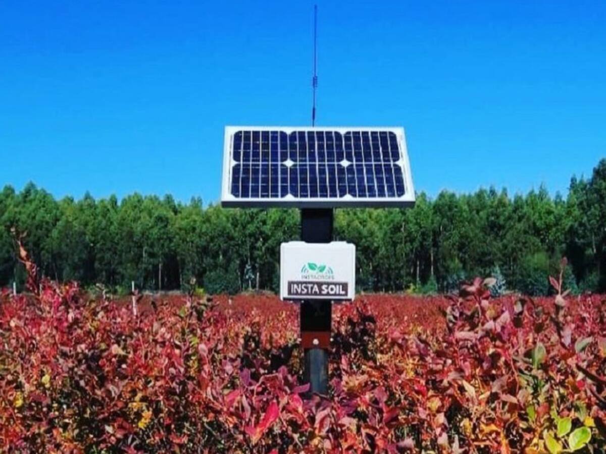 Tecnología digital para mejorar la productividad agrícola llega a Colombia