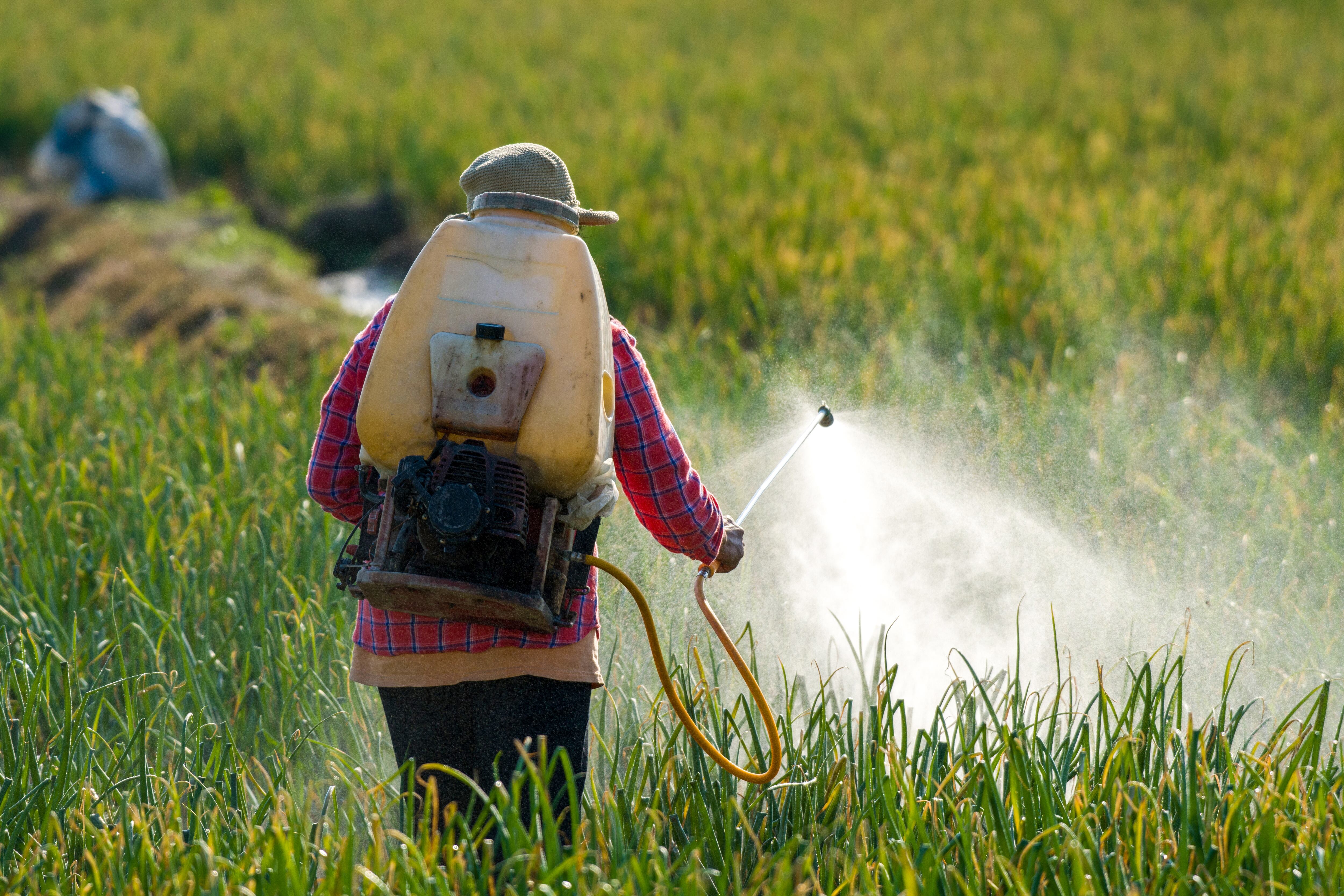 Imagen de referencia de uso de insecticida. Foto: Getty Images.