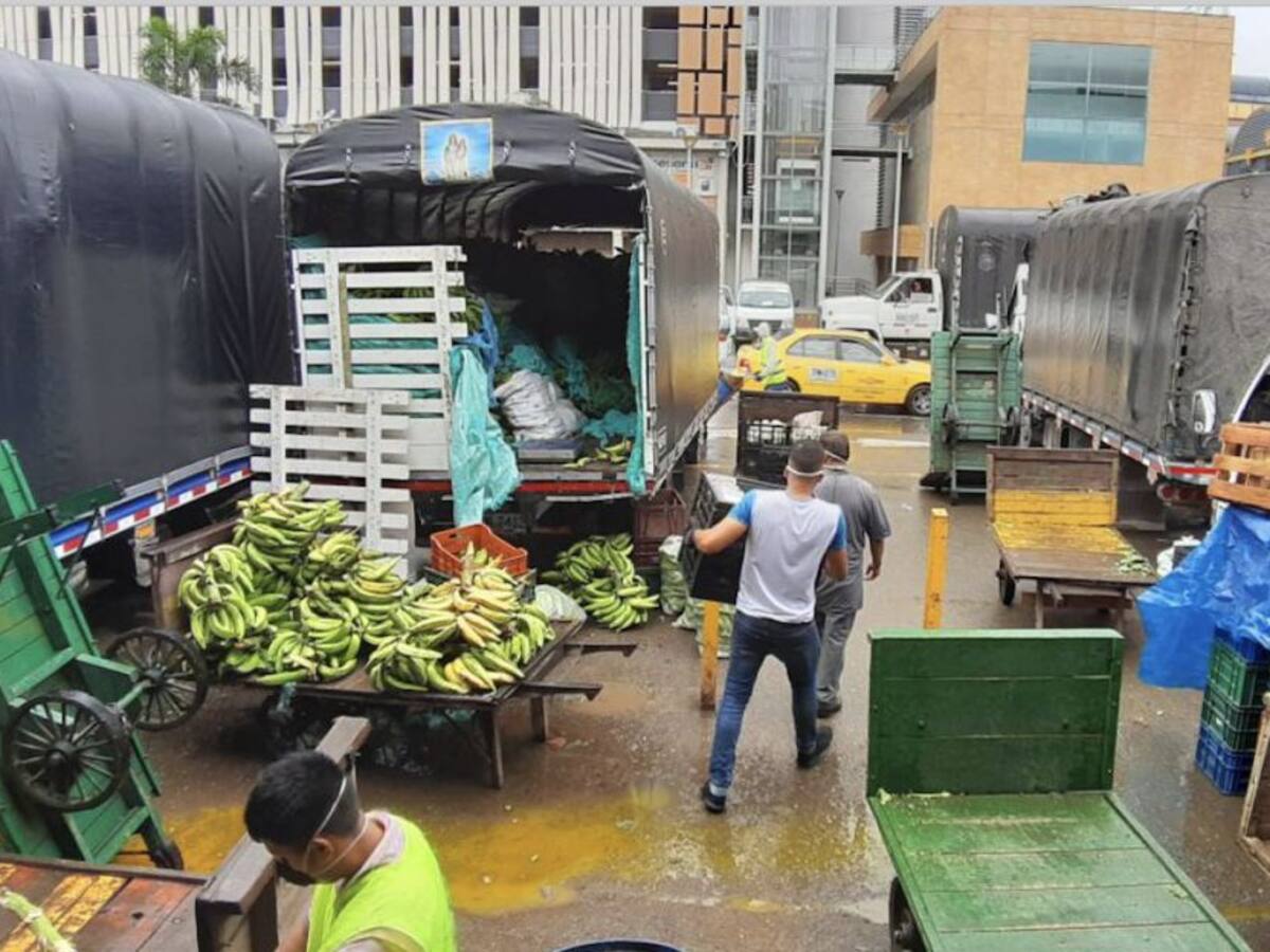 Lluvias aumentan precios de algunos alimentos en Antioquia