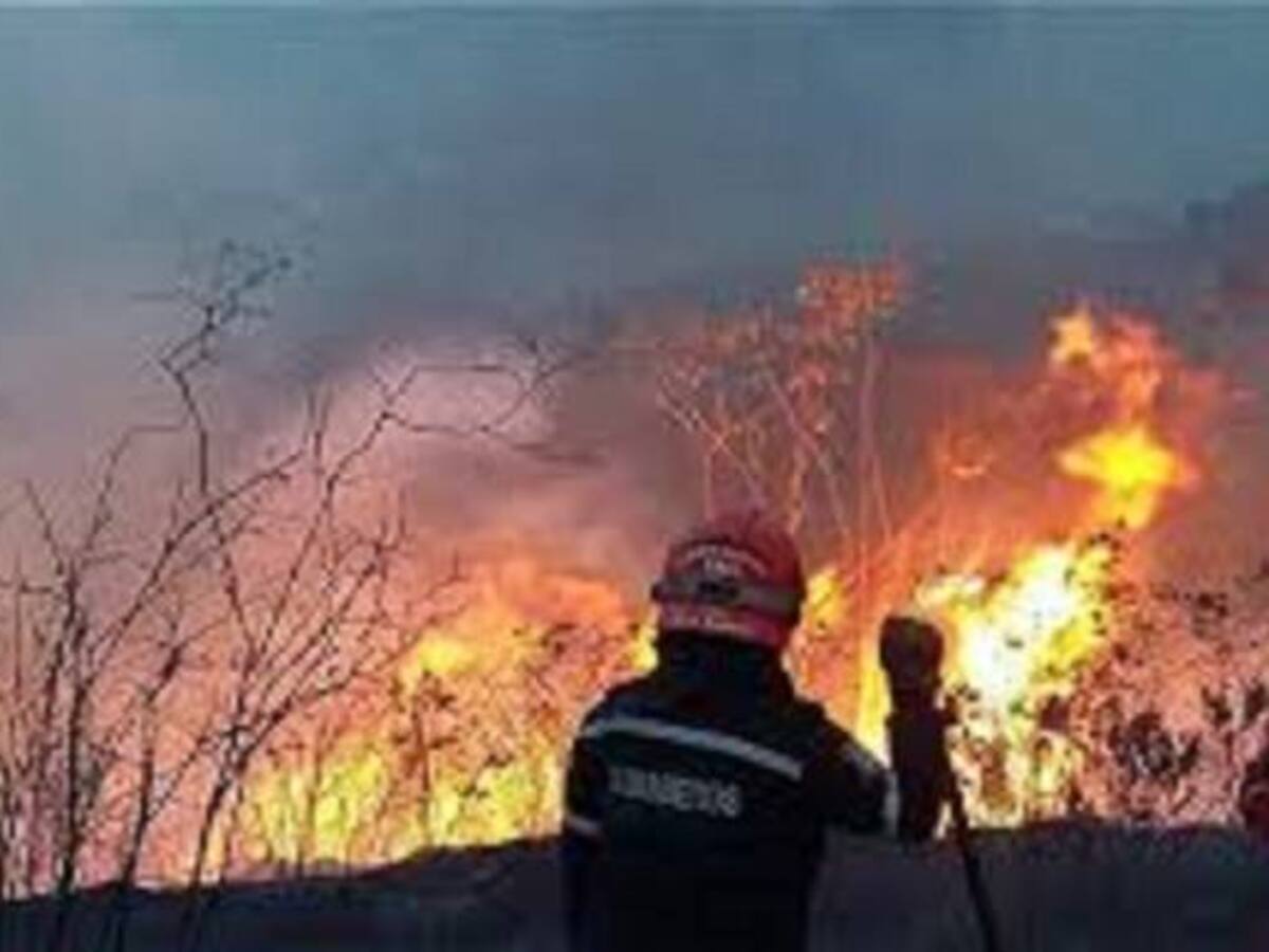 Cali en medio del fuego. 470 forestales se ha registrado este año