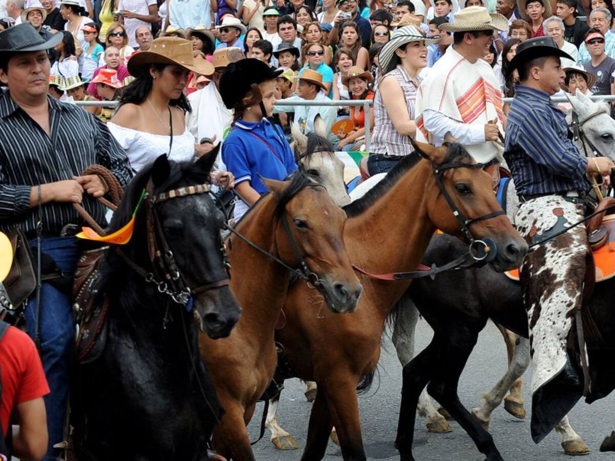 Proyecto de ley pretende reglamentar cabalgatas como actividad cultural